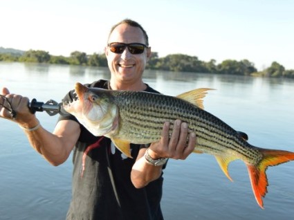 resized-image-Promo (1)